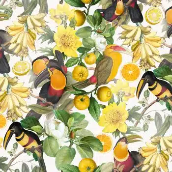 Vintage Toucans and Tropical Fruits