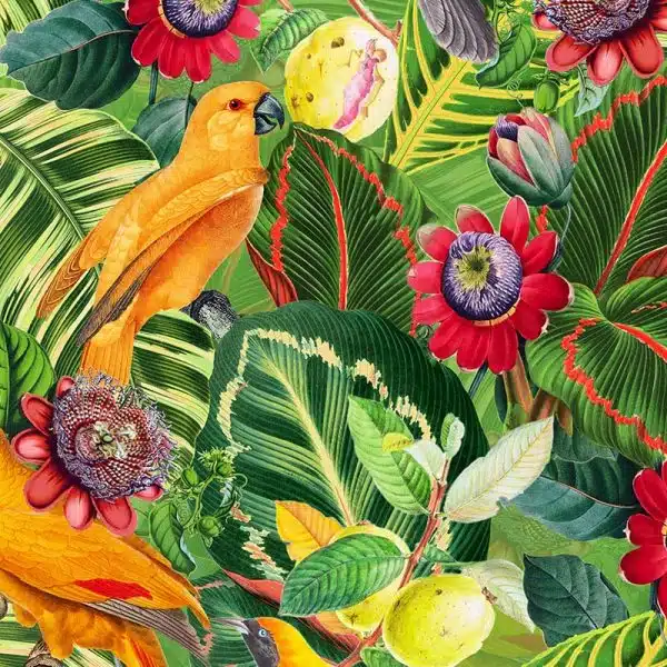 Yellow Parrots in Jungle with Passiflora – Bild 2