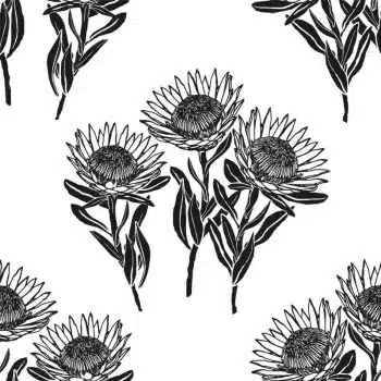 King Protea Black&White