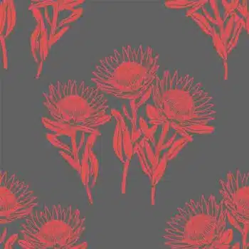 King Protea Coral