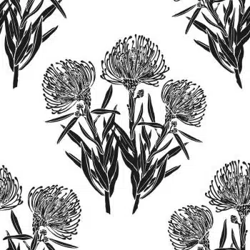 Pincushion Black&White