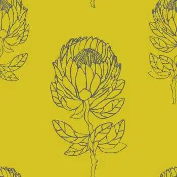 Protea Chartreuse
