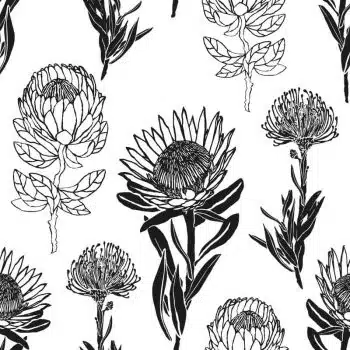 Protea Combo Black&White
