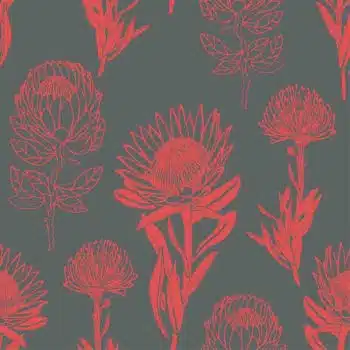 Protea Combo Coral